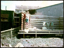 Fence stain to change colour of treated timber.